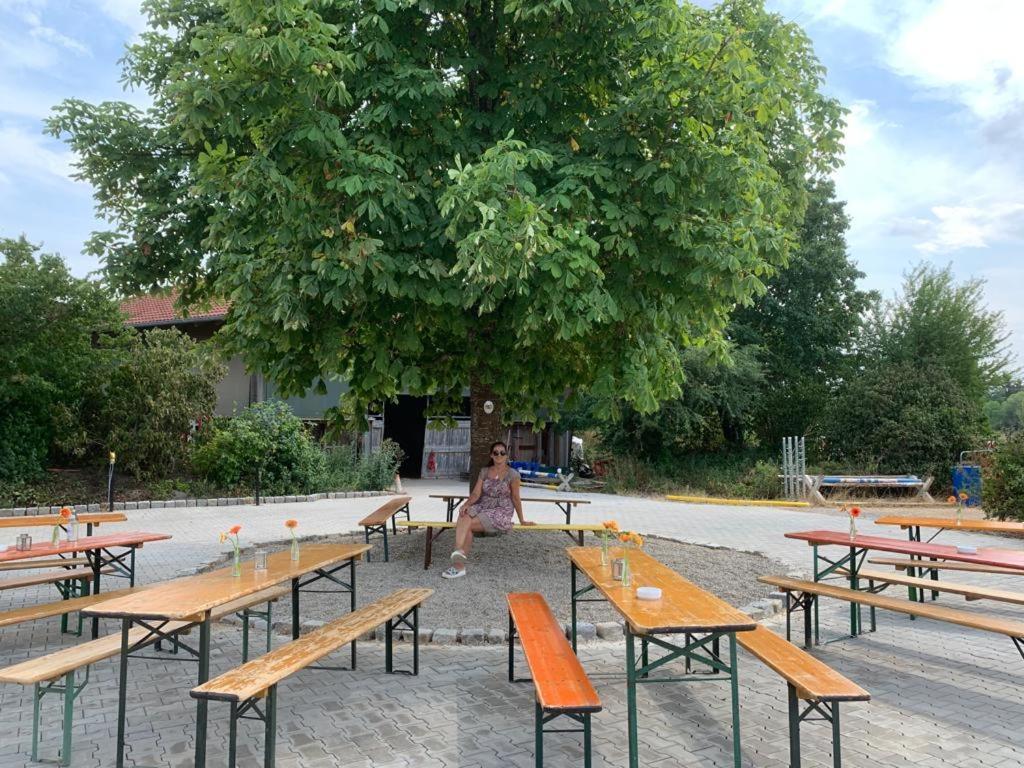 Reitschule Kronwitter Mainbernheim Exteriör bild