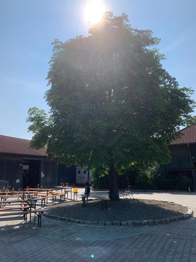 Reitschule Kronwitter Mainbernheim Exteriör bild